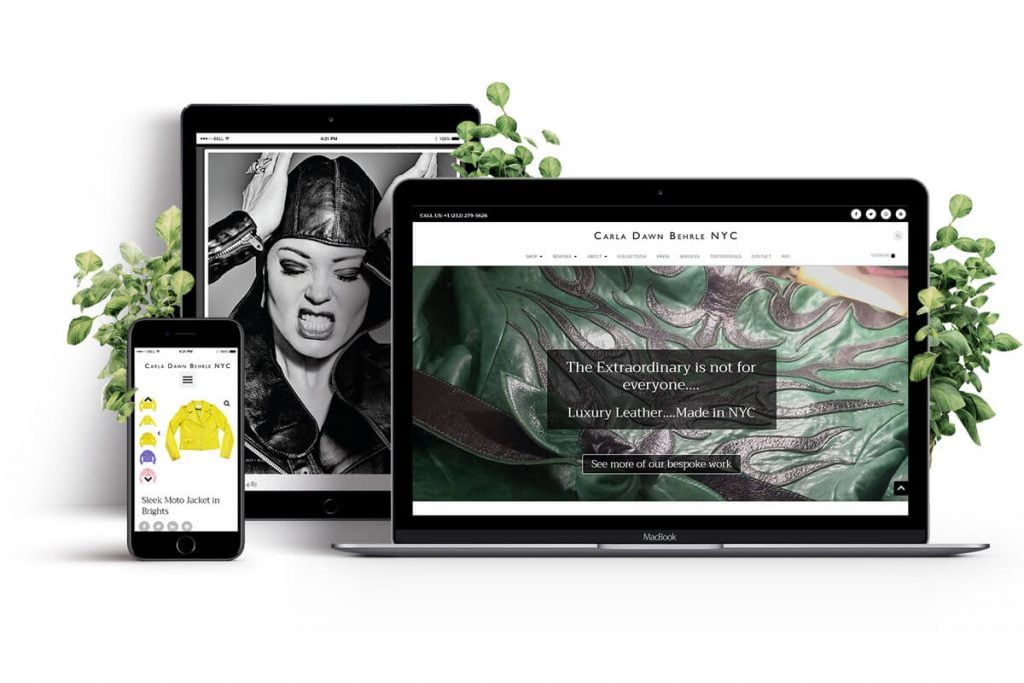 Carla D Behrle portfolio showcase header